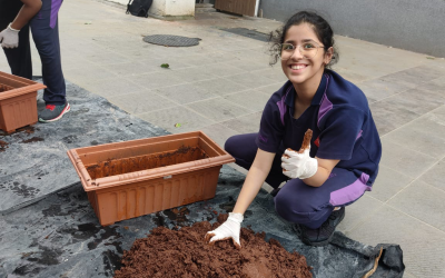 Caring Beyond Classroom Walls: Chatrabhuj Narsee School’s Impact on Lives and Environment